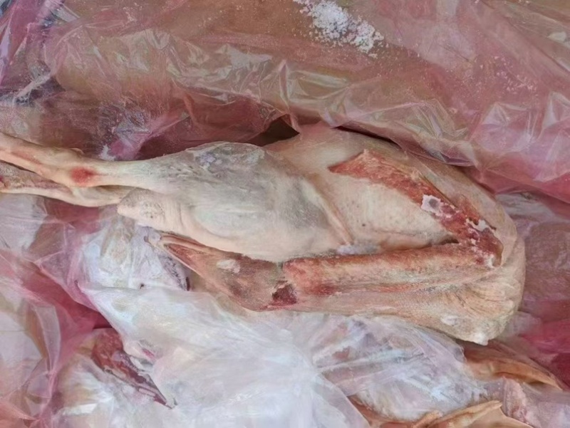 老鹅草鹅都有，各种规格，纯干货一件也是批发价格，证件全