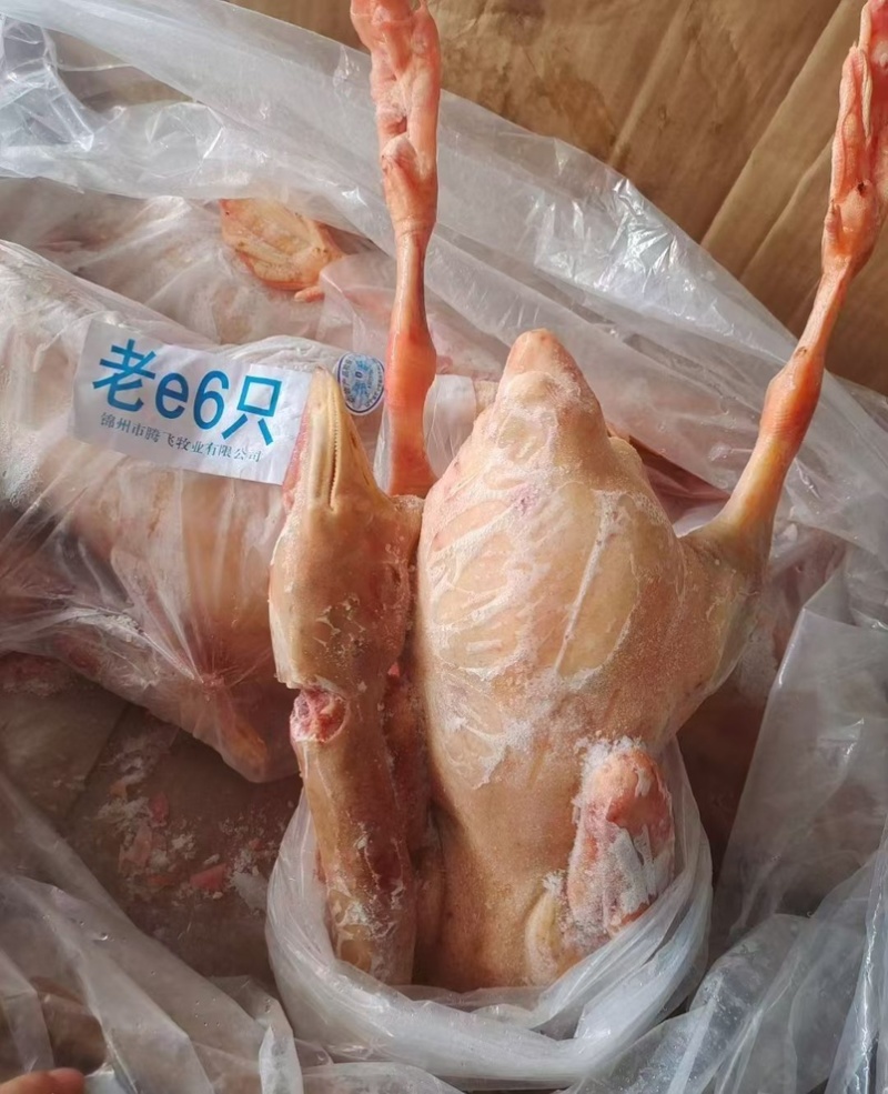 老鹅草鹅都有，各种规格，纯干货一件也是批发价格，证件全