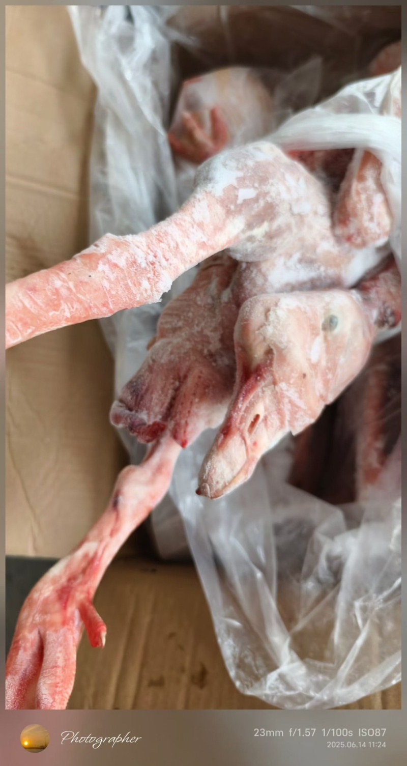 老鹅草鹅都有，各种规格，纯干货一件也是批发价格，证件全