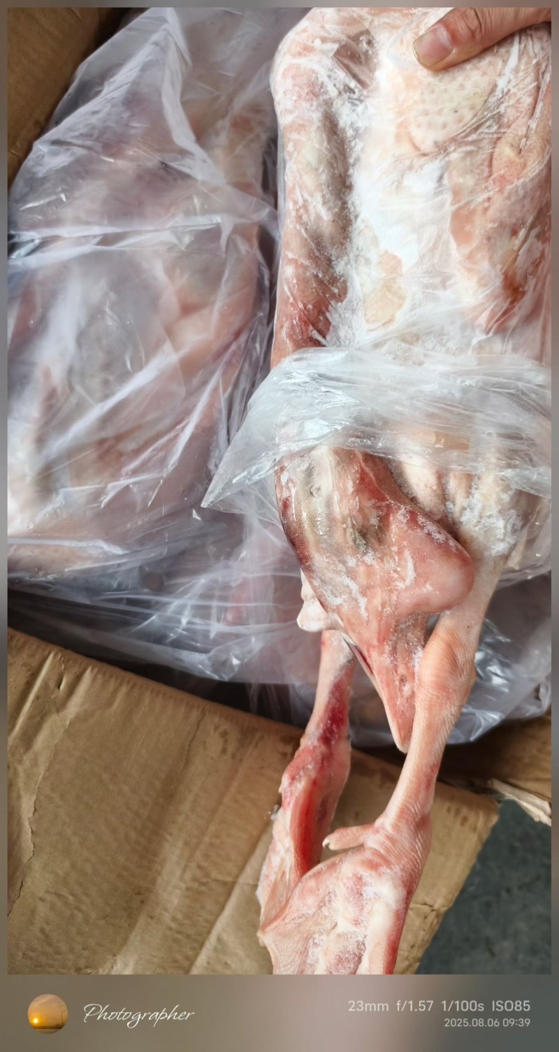 老鹅草鹅都有，各种规格，纯干货一件也是批发价格，证件全