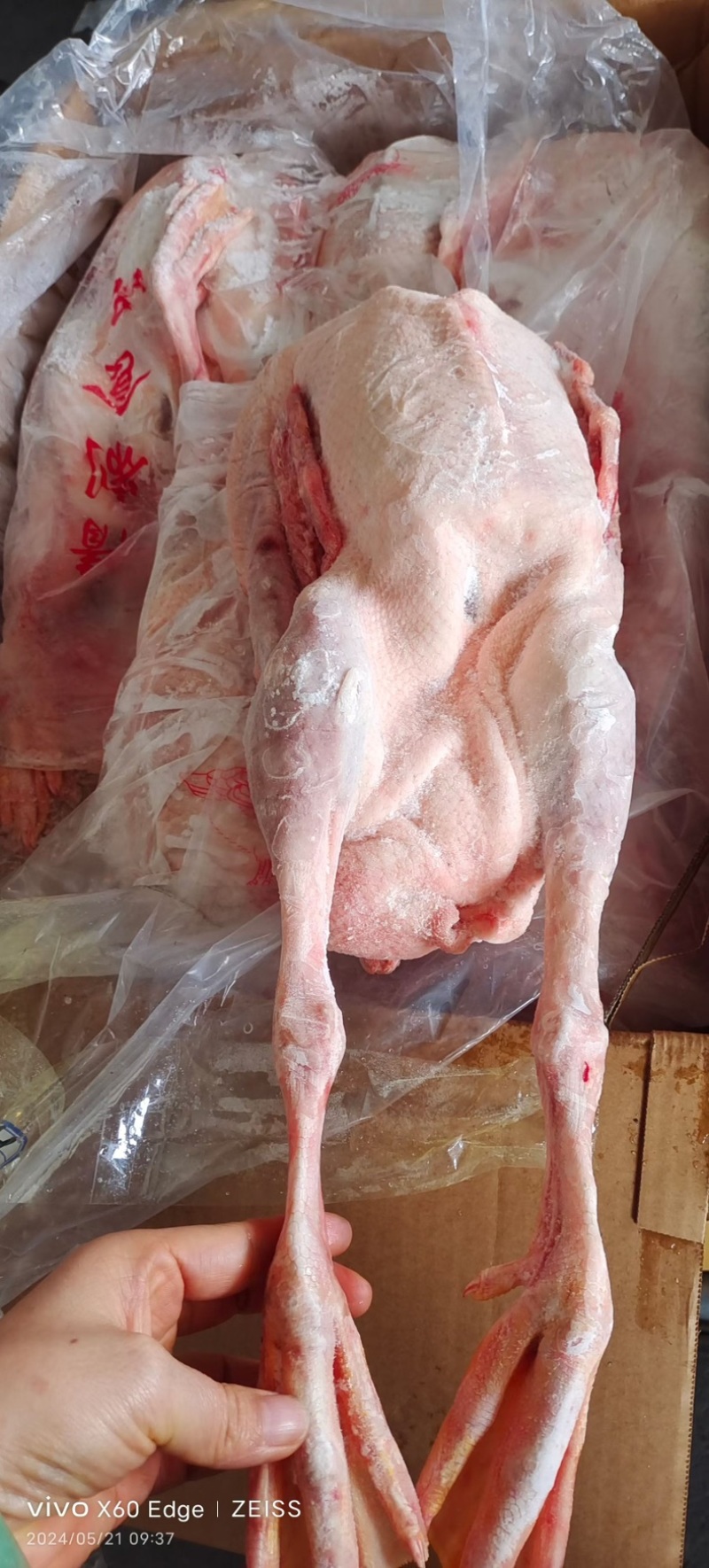 老鹅草鹅都有，各种规格，纯干货一件也是批发价格，证件全