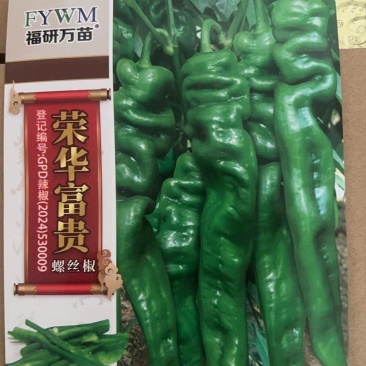 大果杂交螺丝椒种子