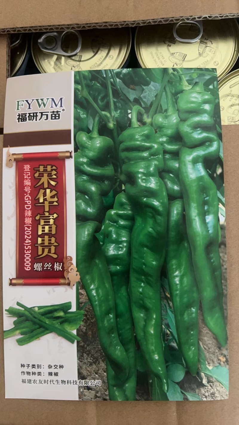 大果杂交螺丝椒种子