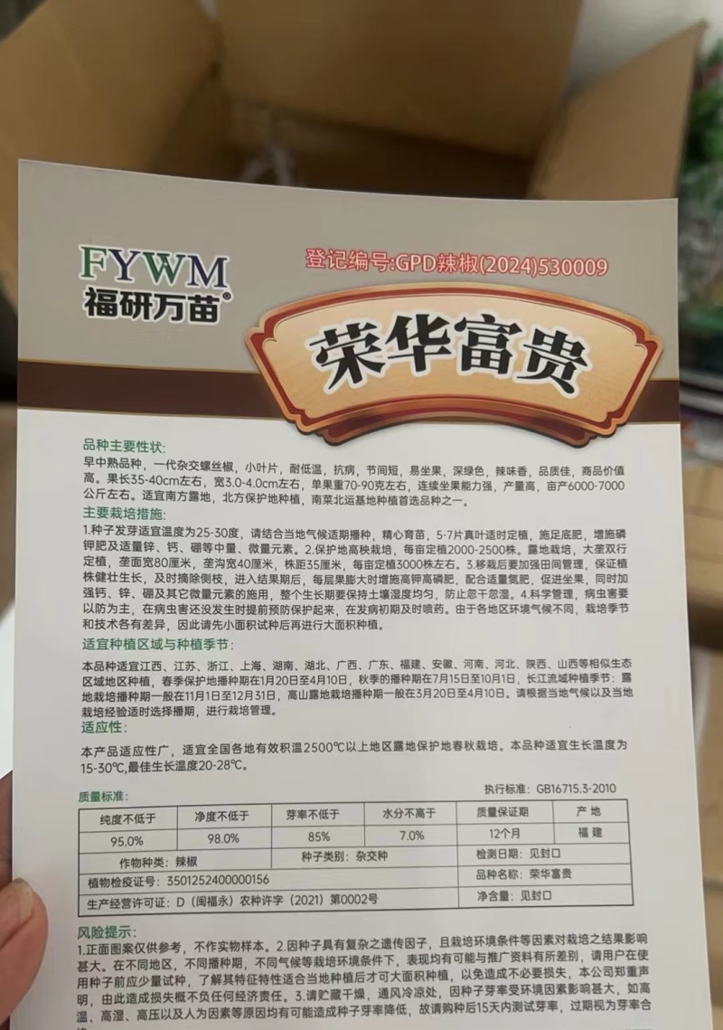大果杂交螺丝椒种子