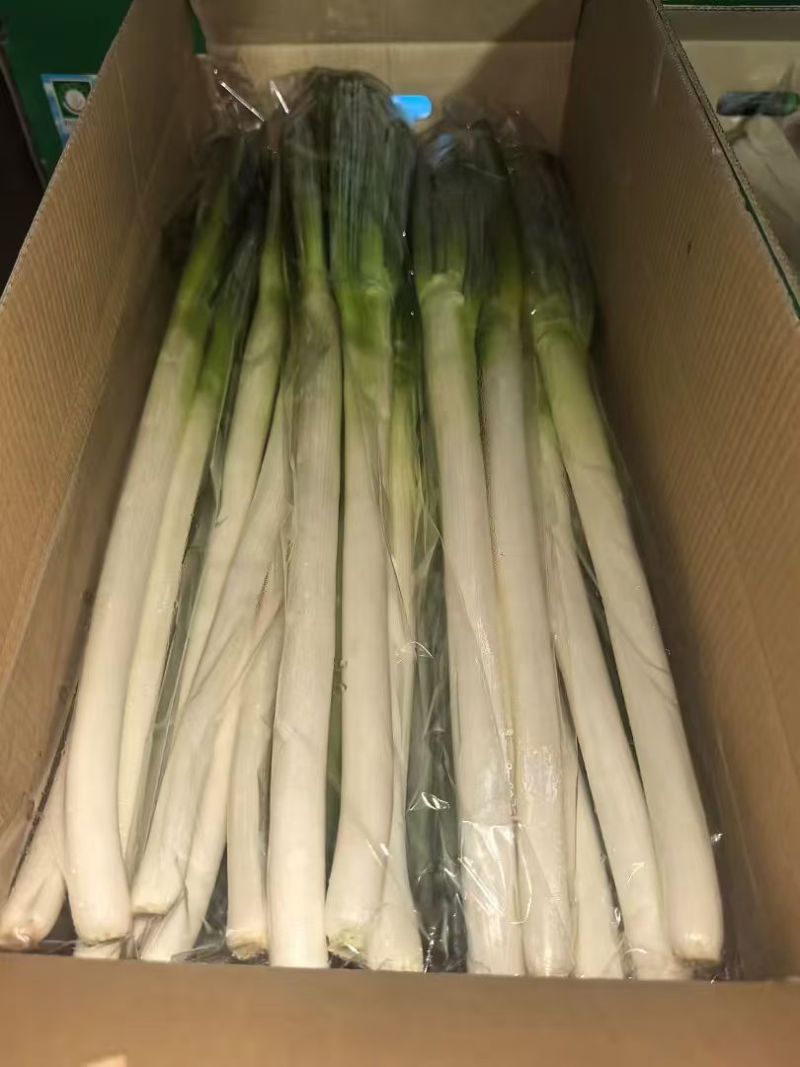 产地大葱出口市场批发零售精品通货电商零售