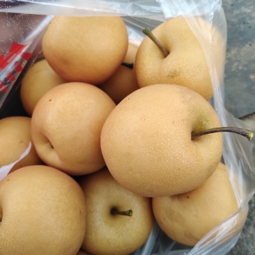 可批发