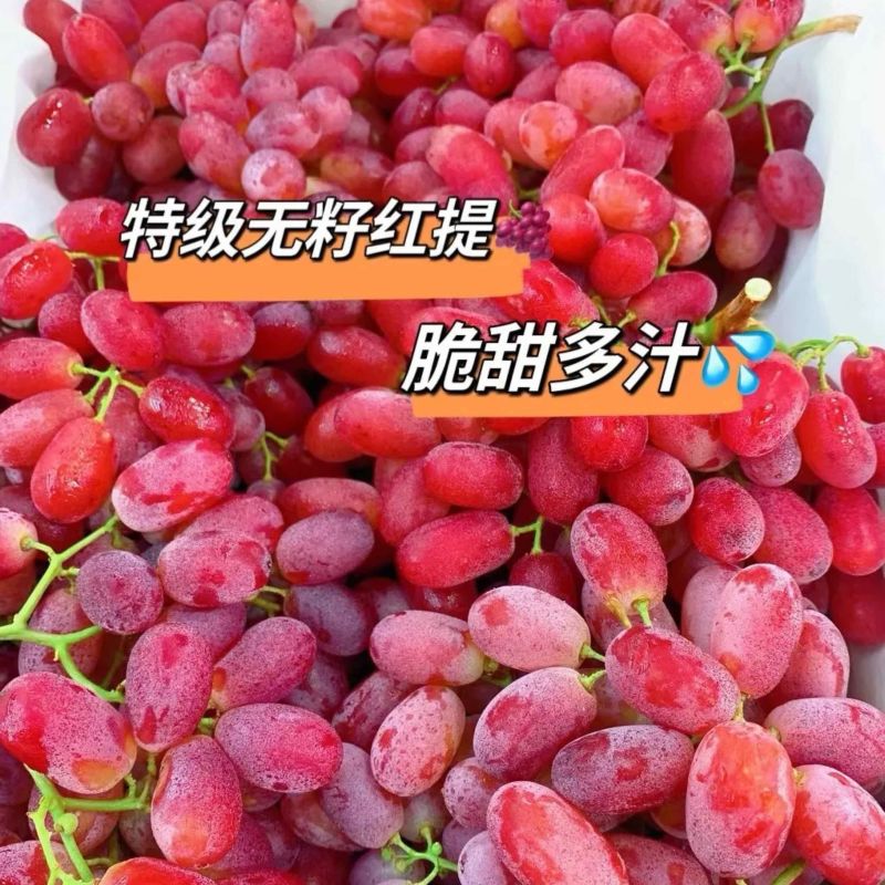 精品克纶生无籽红提，口感脆甜，颗粒饱满，产地一手货源可对