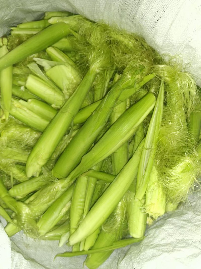 带壳玉米笋