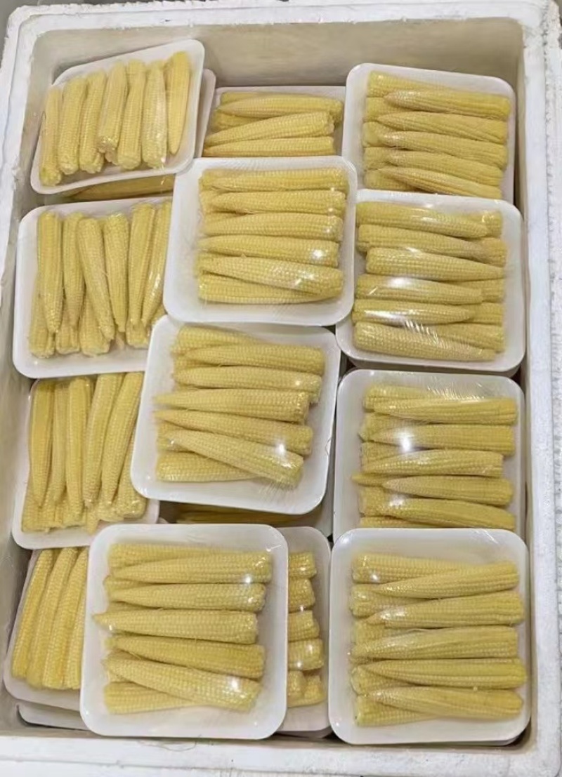 带壳玉米笋