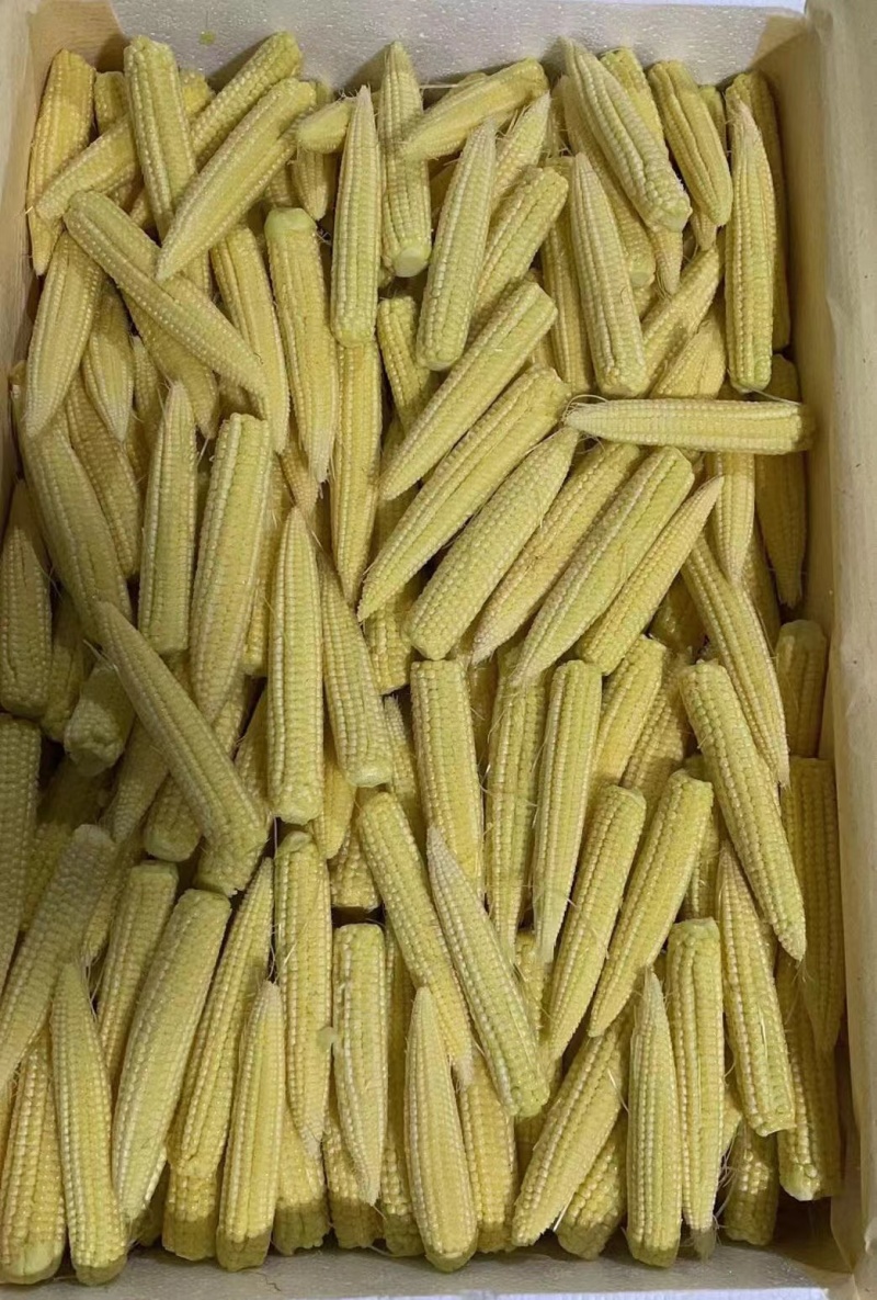 带壳玉米笋