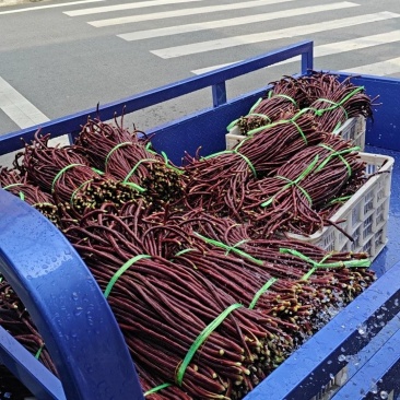 红豆角