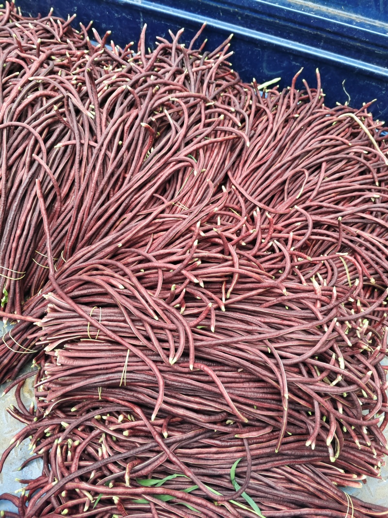 红豆角