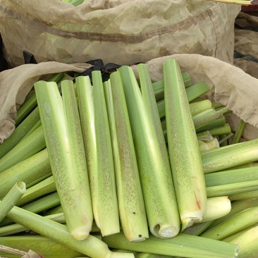 美人茭量大从优诚信经营，物美价廉欢迎来电
