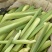 美人茭量大从优诚信经营，物美价廉欢迎来电
