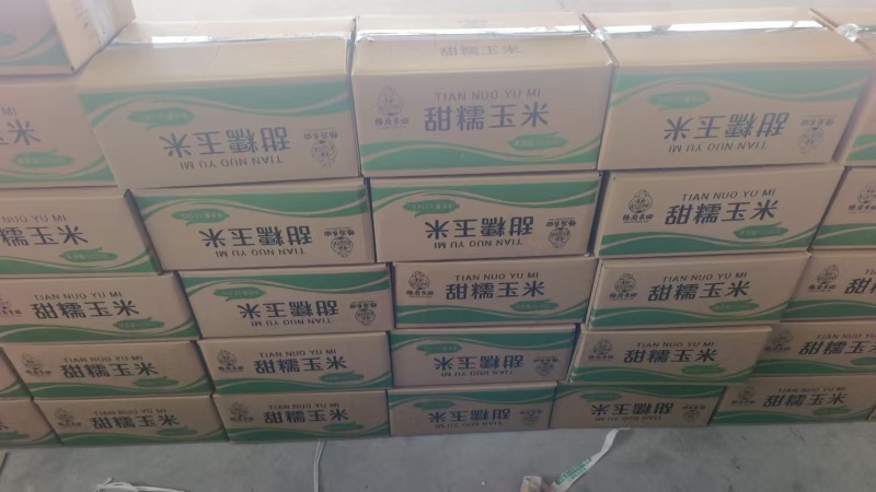 内蒙古精品甜糯玉米真空包装对接全国市场可视频看货