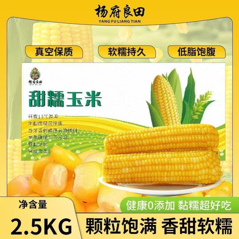 内蒙古精品甜糯玉米真空包装对接全国市场可视频看货