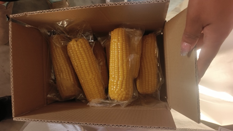 精品黑土地甜糯玉米支持一件代发对接各大平台真空包装