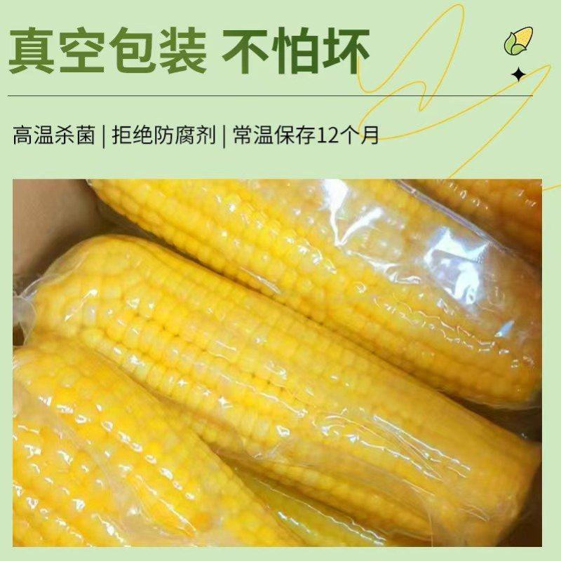 精品黑土地甜糯玉米支持一件代发对接各大平台真空包装