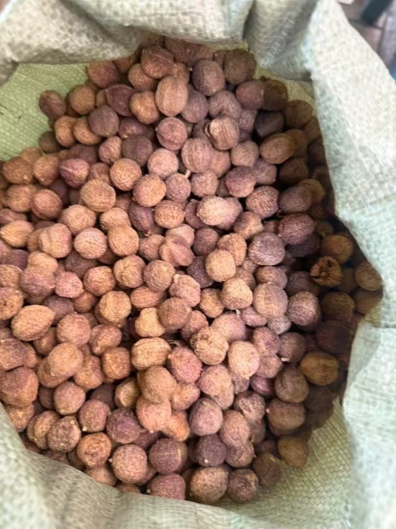 春砂仁颜色好果形大砂仁阳春砂砂仁香料中药材皮薄饱满批发