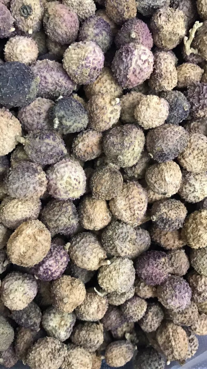 春砂仁颜色好果形大砂仁阳春砂砂仁香料中药材皮薄饱满批发