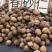 春砂仁颜色好果形大砂仁阳春砂砂仁香料中药材皮薄饱满批发