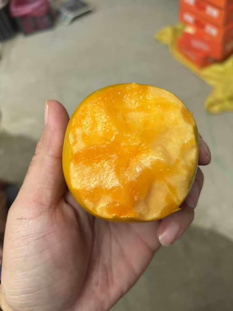 大秋甜脆柿大量上市，基地直发，现货现摘现发