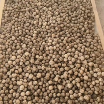 大理核桃品质高饱满薄皮核桃肉厚皮薄大量现货规格齐全基地