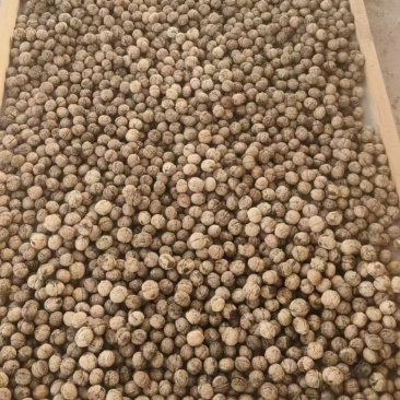 大理核桃品质高饱满薄皮核桃肉厚皮薄大量现货规格齐全基地