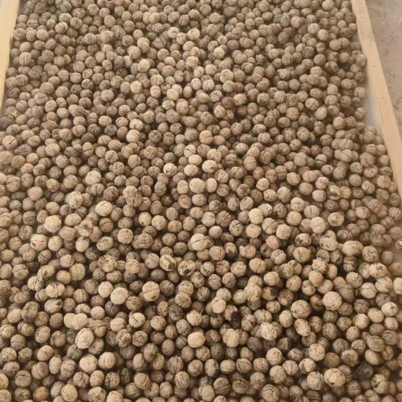 大理核桃品质高饱满薄皮核桃肉厚皮薄大量现货规格齐全基地
