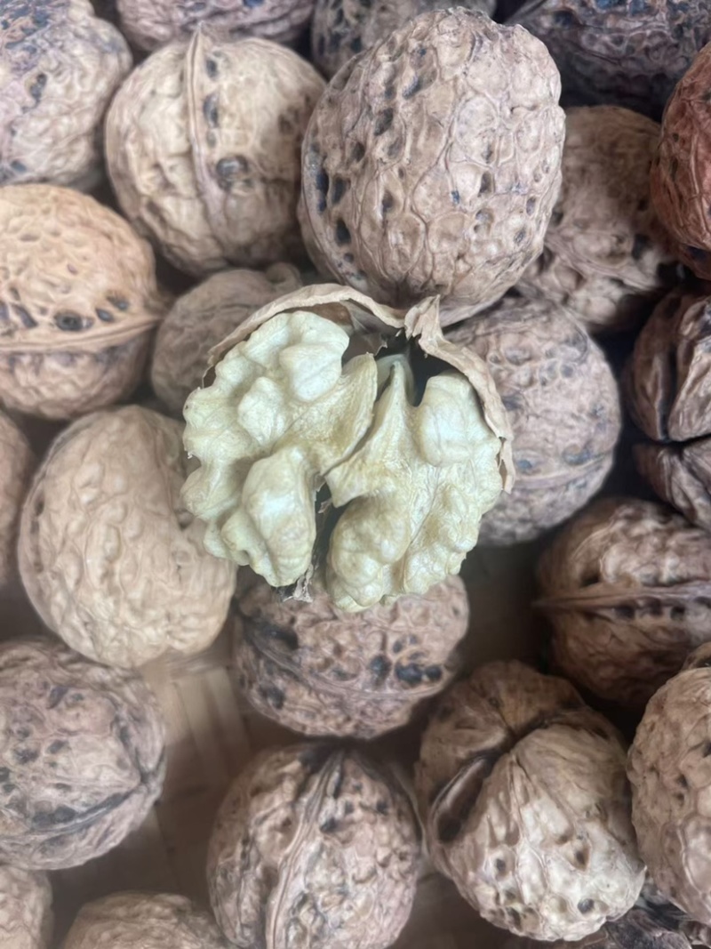 大理核桃品质高饱满薄皮核桃肉厚皮薄大量现货规格齐全基地