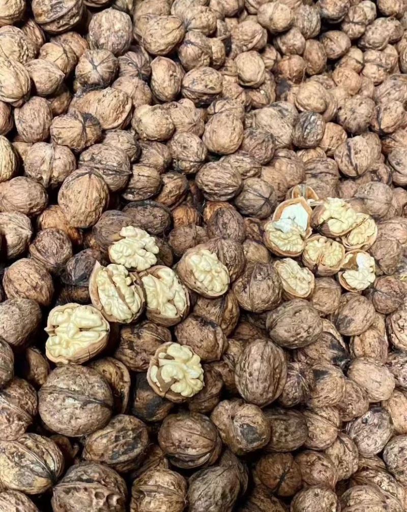 大理核桃品质高饱满薄皮核桃肉厚皮薄大量现货规格齐全基地