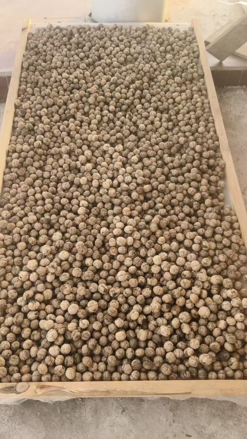 大理核桃品质高饱满薄皮核桃肉厚皮薄大量现货规格齐全基地