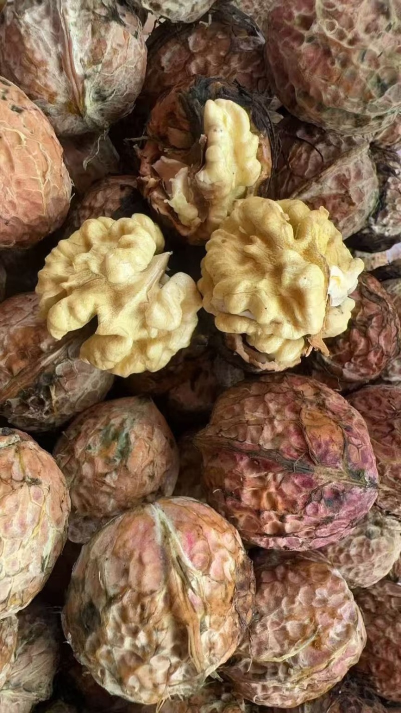大理核桃品质高饱满薄皮核桃肉厚皮薄大量现货规格齐全基地