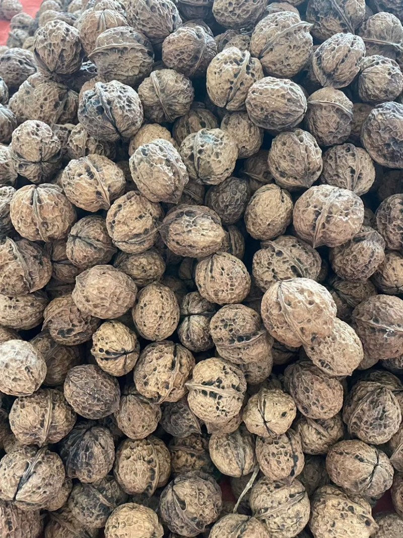 大理核桃品质高饱满薄皮核桃肉厚皮薄大量现货规格齐全基地