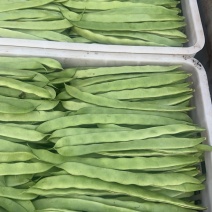 【麻辣甲鱼】大煸
