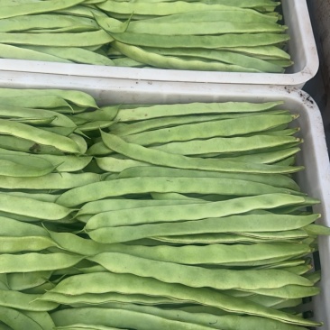 【麻辣甲鱼】大煸