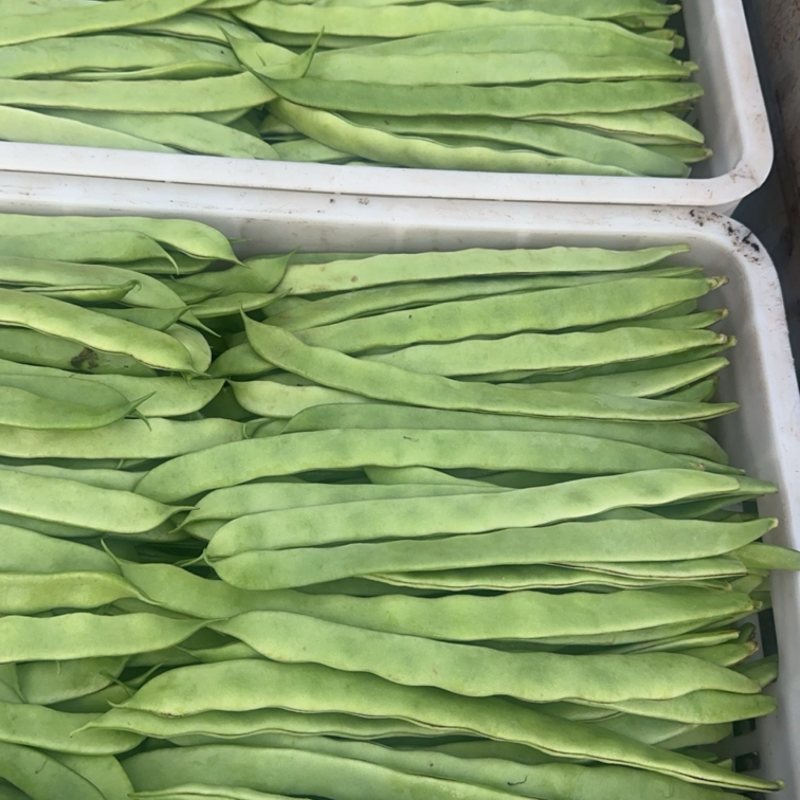 【麻辣甲鱼】大煸