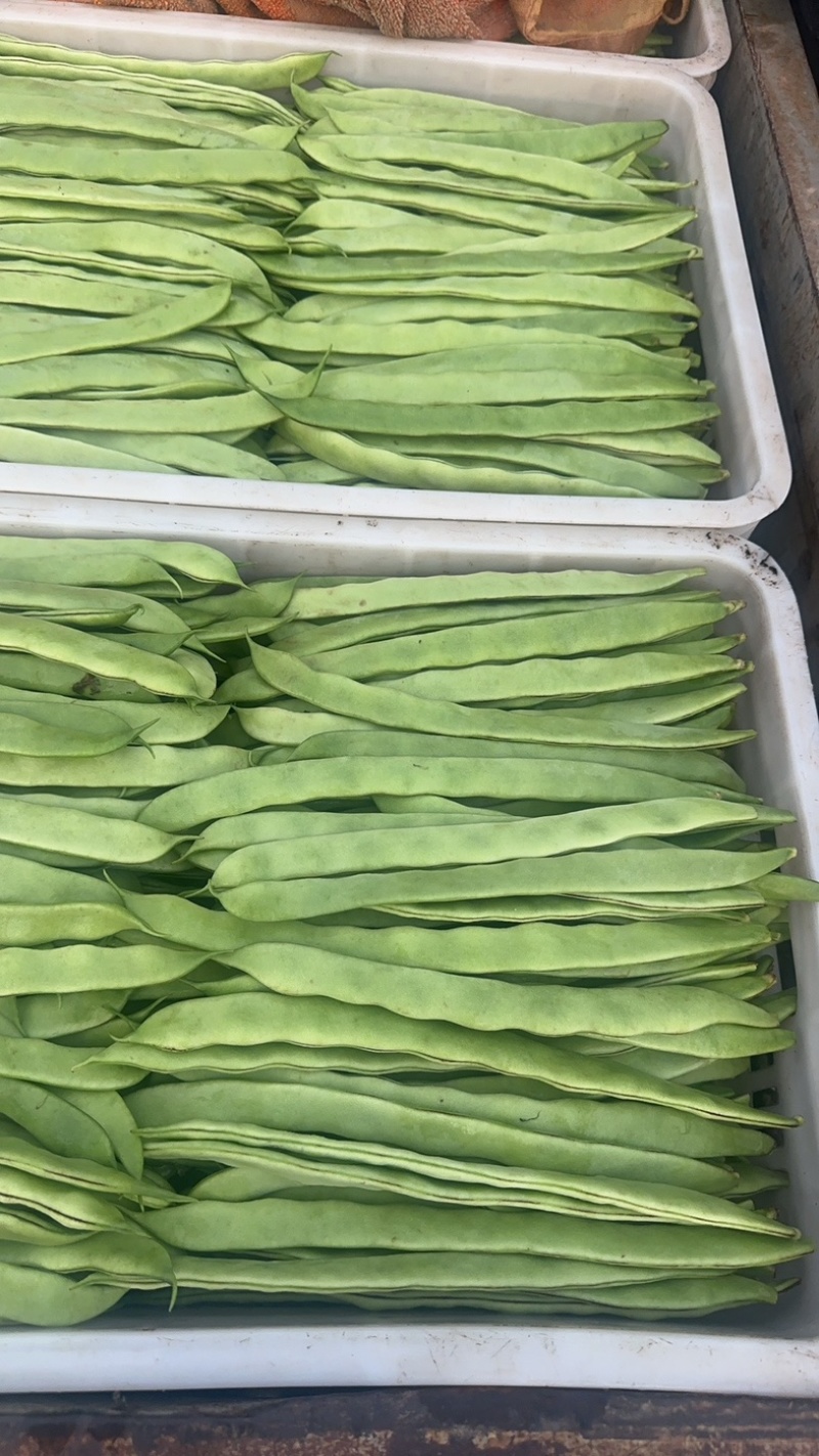【麻辣甲鱼】大煸