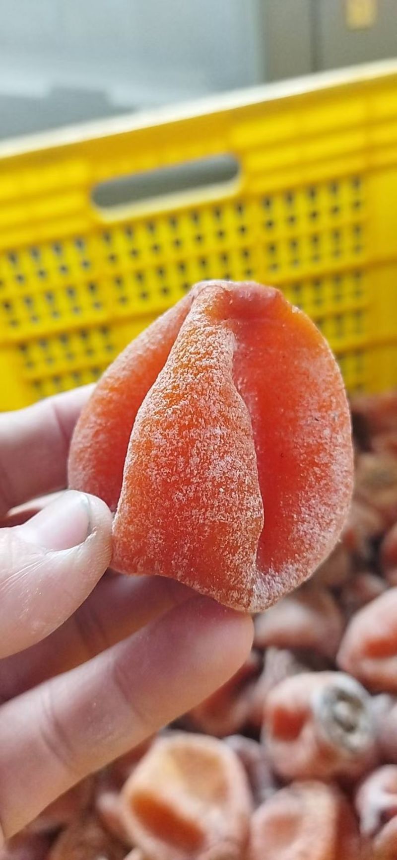 品质好货圆柿吊柿/市场档口商超电商/一件代发/霜降柿饼