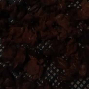 鸡内金