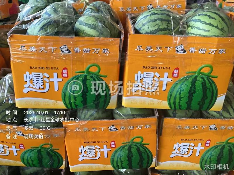 内蒙古麒麟小西瓜
