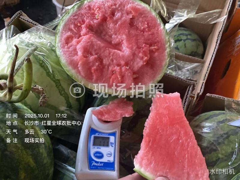 内蒙古麒麟小西瓜