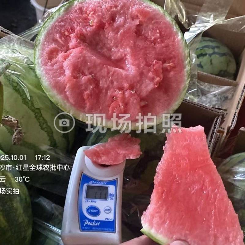 内蒙古麒麟小西瓜