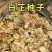 精选白芷种子纯二年当季新采摘发芽率高产量高易管理