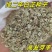 精选白芷种子纯二年当季新采摘发芽率高产量高易管理