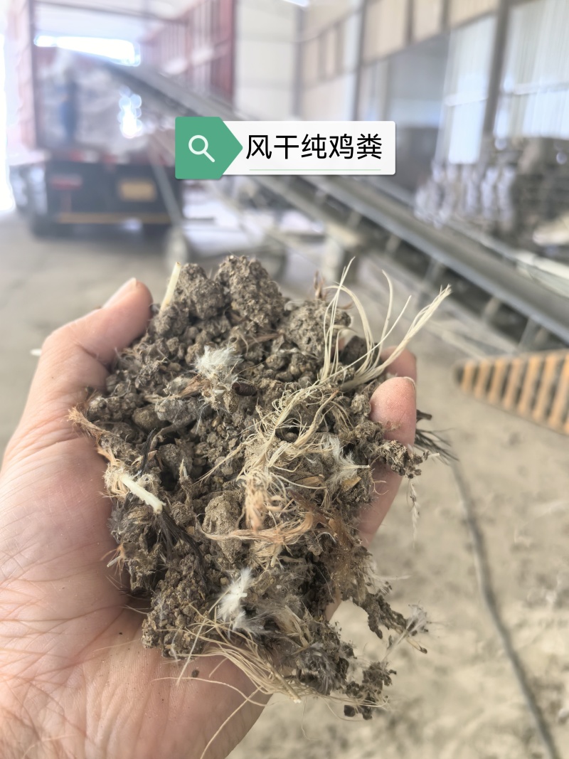 风干鸡粪，纯鸡粪，颗粒鸡粪，鸡粪有机肥，果蔬通用，肥效高