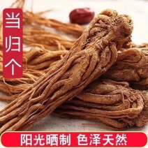 【岷县直发】拾农者当归个子甘肃岷县产地直发包邮