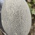 新疆17号西州蜜哈密瓜