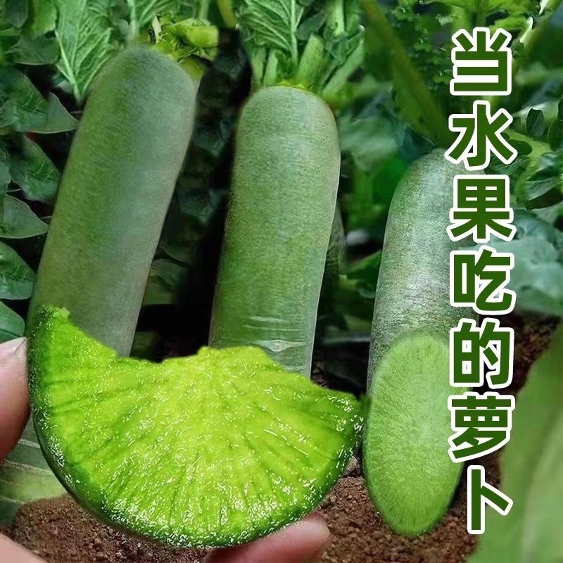 水果萝卜