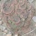 野生无柄灵芝